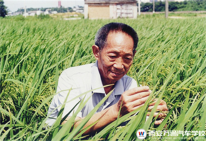 【職素教育】西安萬通國旗下的約定：珍惜糧食，杜絕浪費